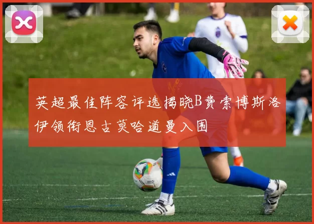 英超最佳阵容评选揭晓B费索博斯洛伊领衔恩古莫哈道曼入围